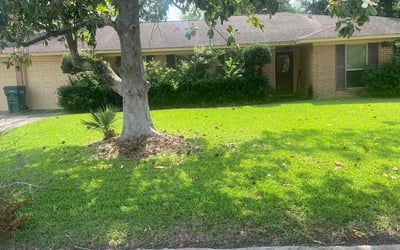 Photo of Brendon C.'s yard after getting lawn care in Beaumont, TX