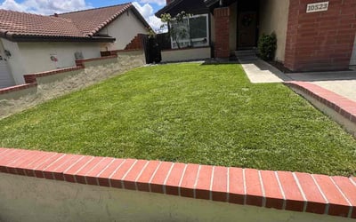 Photo of Mytrell F.'s yard after getting lawn care in Spring Valley, CA