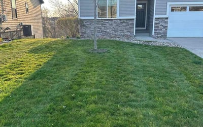 Photo of Tyler L.'s yard after getting lawn care in West Des Moines, IA