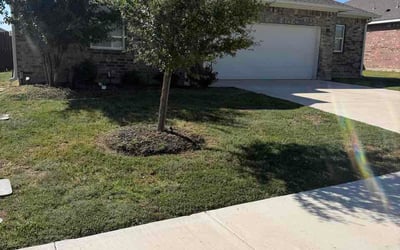 Photo of Skylar B.'s yard after getting lawn care in Raytown, MO