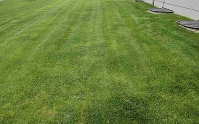 Photo of Arielle W.'s yard after getting lawn care in Riverview, FL