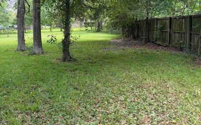 Photo of Ethan H.'s yard after getting lawn care in Manchester, NH