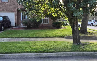Photo of Jennifer J.'s yard after getting lawn care in Brownsburg, IN