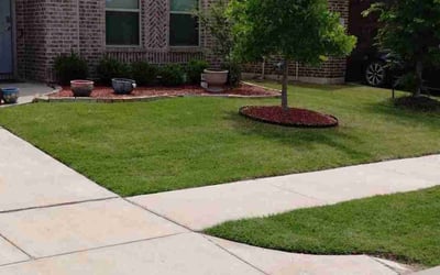 Photo of Mirna O.'s yard after getting lawn care in Alvarado, TX