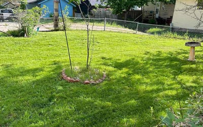 Photo of Darren B.'s yard after getting lawn care in Sioux City, IA