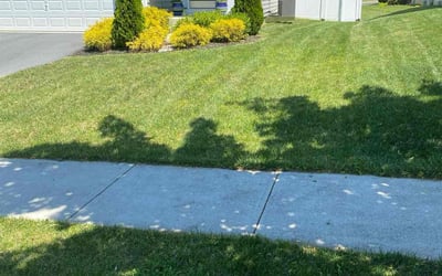 Photo of Devyn G.'s yard after getting lawn care in Martinsburg, WV