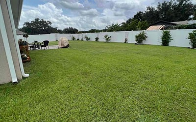 Photo of Delonte C.'s yard after getting lawn care in Fort Washington, MD