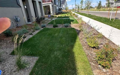 Photo of KRIS M.'s yard after getting lawn care in Denver, CO