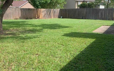 Photo of Stephen L.'s yard after getting lawn care in Seabrook, TX