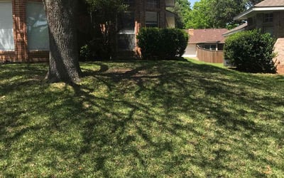 Photo of Debbi B.'s yard after getting lawn care in DeSoto, TX