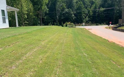 Photo of James P.'s yard after getting lawn care in Fairhaven, MA