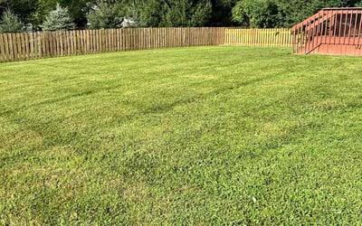 Photo of Colleen N.'s yard after getting lawn care in Lebanon, OH