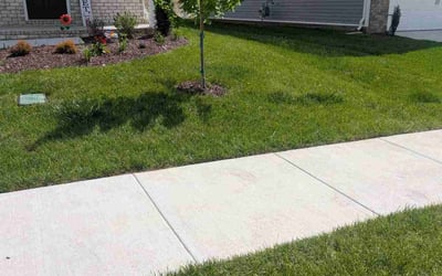 Photo of Micheal P.'s yard after getting lawn care in Mandeville, LA