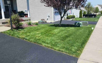 Photo of Vanessa D.'s yard after getting lawn care in Dillsburg, PA