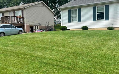 Photo of Alisha S.'s yard after getting lawn care in Roanoke, VA