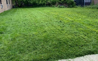 Photo of Heidi M.'s yard after getting lawn care in Kaukauna, WI