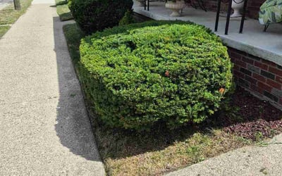 Photo of Jennifer V.'s yard after getting lawn care in Glenshaw, PA