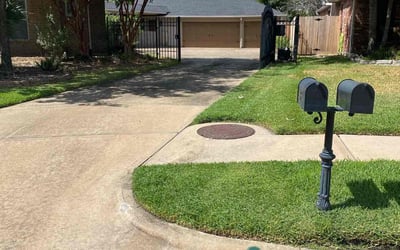 Photo of Lape A.'s yard after getting lawn care in Novato, CA