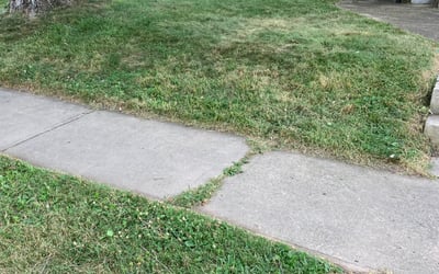 Photo of Emelda D.'s yard after getting tree care in Waterford, MI