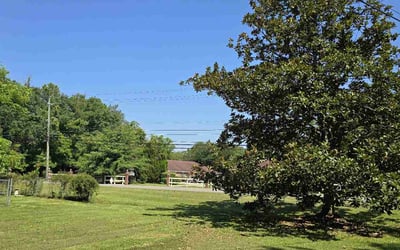 Photo of Rebecca M.'s yard after getting lawn care in Moss Point, MS