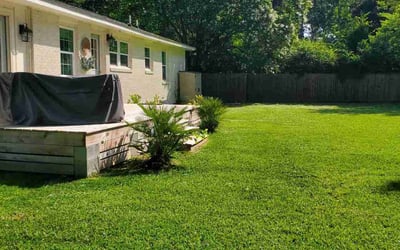 Photo of Debra M.'s yard after getting lawn care in La Plata, MD