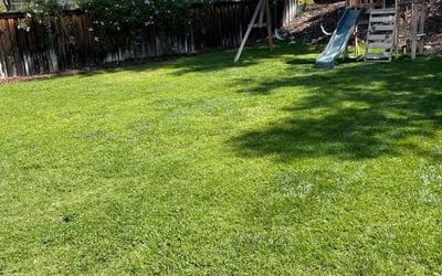 Photo of Melissa C.'s yard after getting lawn care in Rialto, CA