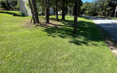 Photo of Genevieve T.'s yard after getting lawn care in Colorado Springs, CO