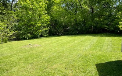 Photo of Sandra B.'s yard after getting lawn care in Old Hickory, TN