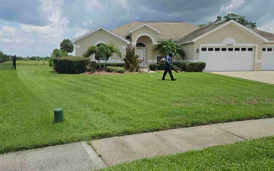 Photo of Mary C.'s yard after getting lawn care in Kissimmee, FL