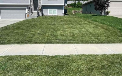 Photo of Michael J.'s yard after getting lawn care in Detroit, MI