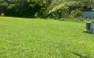 Photo of Barbara K.'s yard after getting lawn care in Lockhart, TX