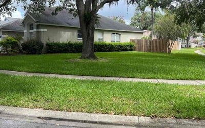 Photo of Bethany B.'s yard after getting lawn care in Carrollwood, FL