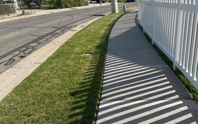 Photo of Joselyn J.'s yard after getting lawn care in Magna, UT