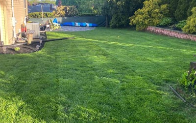 Photo of David M.'s yard after getting lawn care in Watertown, MA