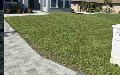 Photo of Barbara O.'s yard after getting lawn care in Cedar Hill, TX