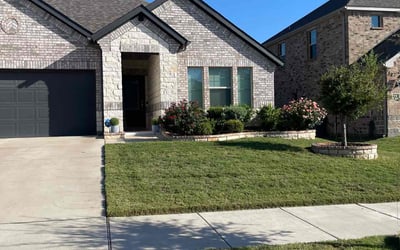 Photo of Shane E.'s yard after getting lawn care in Princeton, TX