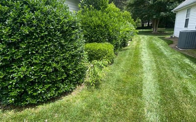 Photo of Kevin T.'s yard after getting lawn care in Calabash, NC