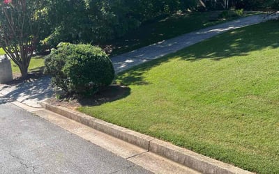 Photo of Craig T.'s yard after getting lawn care in Beloit, WI