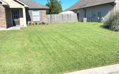 Photo of Nicole J.'s yard after getting lawn care in Gonzales, LA