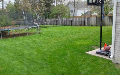 Photo of Luke H.'s yard after getting lawn care in Winchester, VA