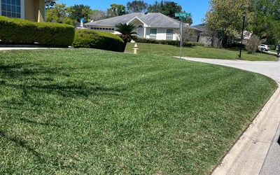 Photo of Kori M.'s yard after getting lawn care in Jensen Beach, FL