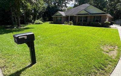 Photo of Randolph W.'s yard after getting lawn care in Nolensville, TN