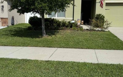 Photo of Kyle M.'s yard after getting lawn care in San Antonio, TX