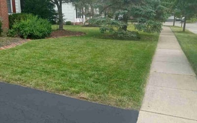 Photo of Michelle C.'s yard after getting lawn care in New Albany, OH