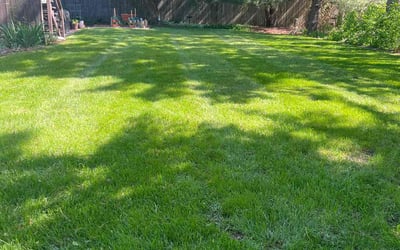 Photo of Alyssa B.'s yard after getting lawn care in Crystal Lake, IL