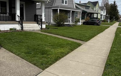 Photo of Carole S.'s yard after getting lawn care in Erlanger, KY