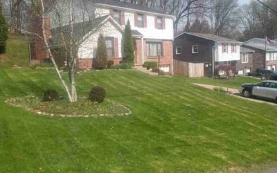 Photo of Beverly W.'s yard after getting lawn care in Braddock, PA
