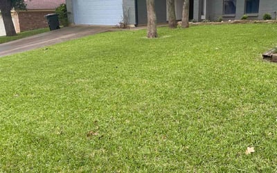 Photo of Darius B.'s yard after getting lawn care in Hurst, TX