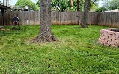 Photo of Adrian A.'s yard after getting lawn care in Elmendorf, TX