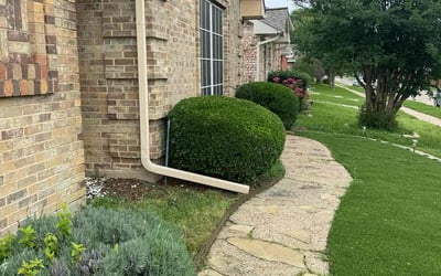 Photo of Marsha M.'s yard after getting lawn care in Cibolo, TX